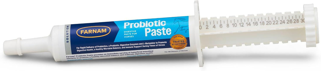 Farnam Probiotic Paste Horses in Syringe Supports Healthy Microbial