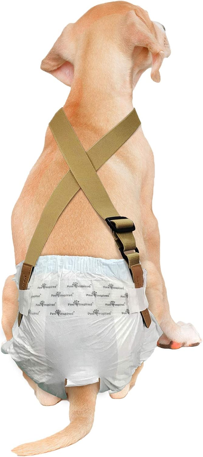 Paw Inspired Dog Diaper Suspenders, Hook & Loop Fasteners, M/L Size