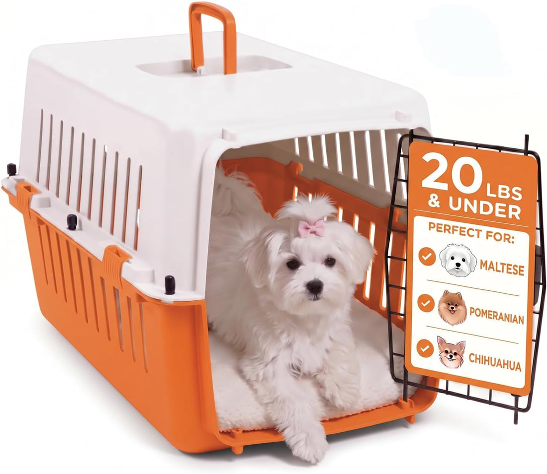 20-Inch Pink Hard Shell Pet Carrier for Small Dogs & Cats Under 15 Lbs