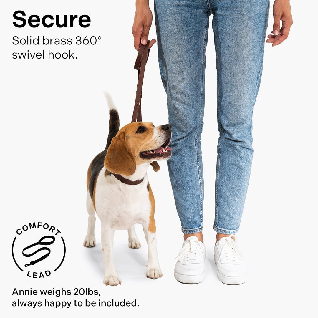 Scout Supply Classic Leather Dog Leash