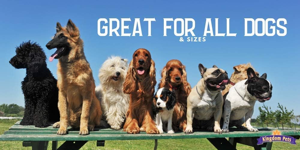 Kingdom Pets Duck Jerky & Sweet Potato Dog Treats with Only 4