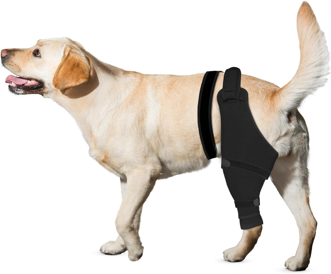 Dog Rear Leg Sleeve to Stop Licking