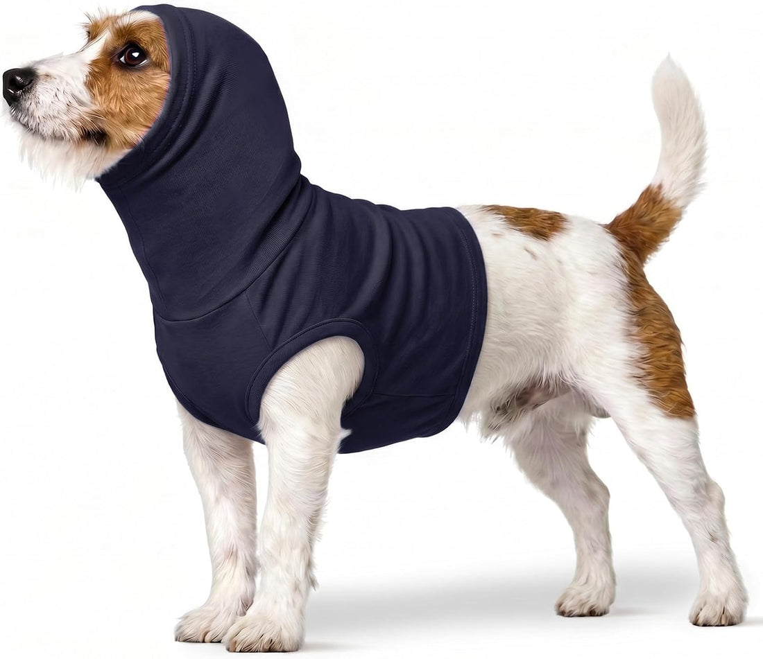 ROZKITCH Cat Neck Protector, Cat Surgery Recovery Suit