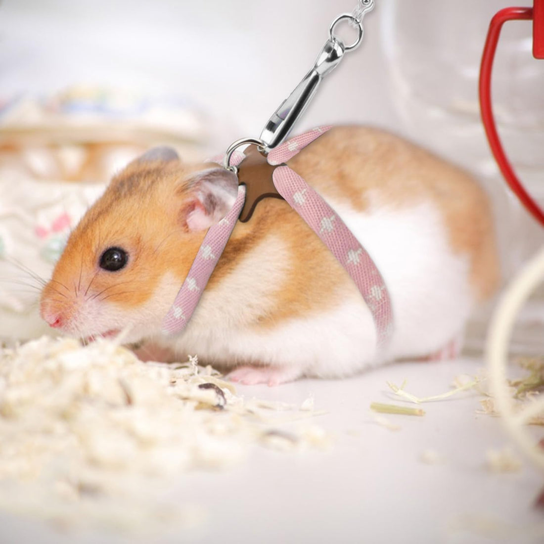 Hypeety Syrian Hamster Leash Harness Set Adjustable Training Lead