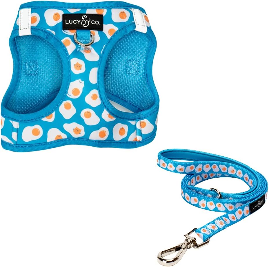 Lucy & Co. Simply Splendid Step-in Cat Harness & Leash Bundle