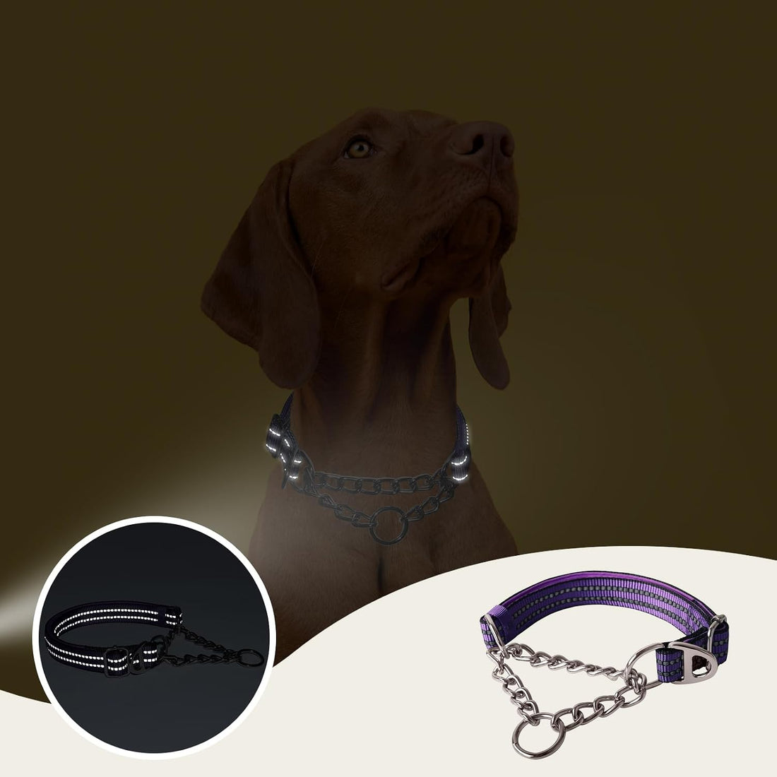 Martingale Collar for Dogs with Chain,Heavy Duty Dog Collar