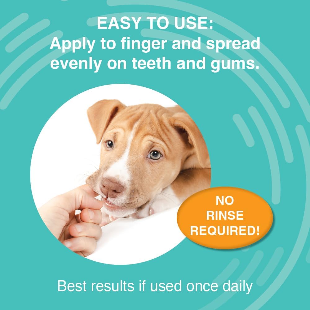 Nootie Medicated Dental for Dogs with Chlorhexidine