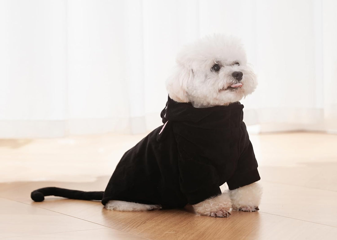 Pet Costume for Small Dogs Cats Halloween Hoodies Puppy Coat
