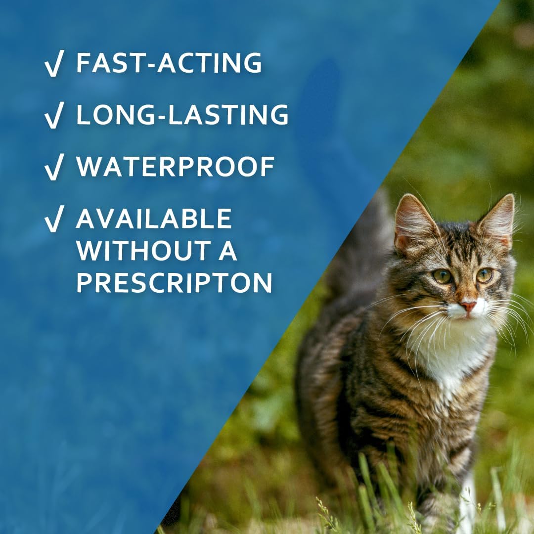 Sentry Fiproguard Flea & Tick Prevention for Cats