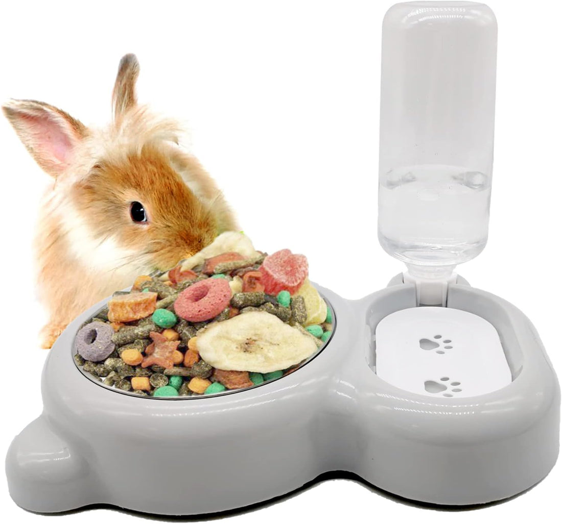 Rabbit Double Bowls Bunny Automatic Water Dispenser Detachable