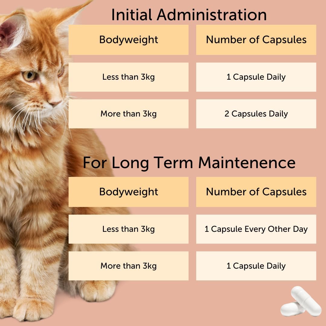 FELIWAY Cystease Advanced Urinary Tract Support for Cats