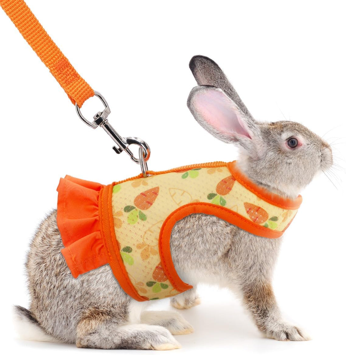 Cute Bunny Harness and Leash Set