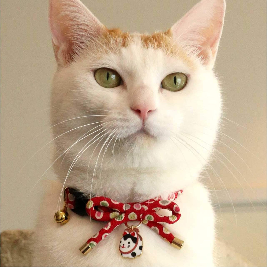 Necoichi Zen Hariko Charm Cat Collar (Red)