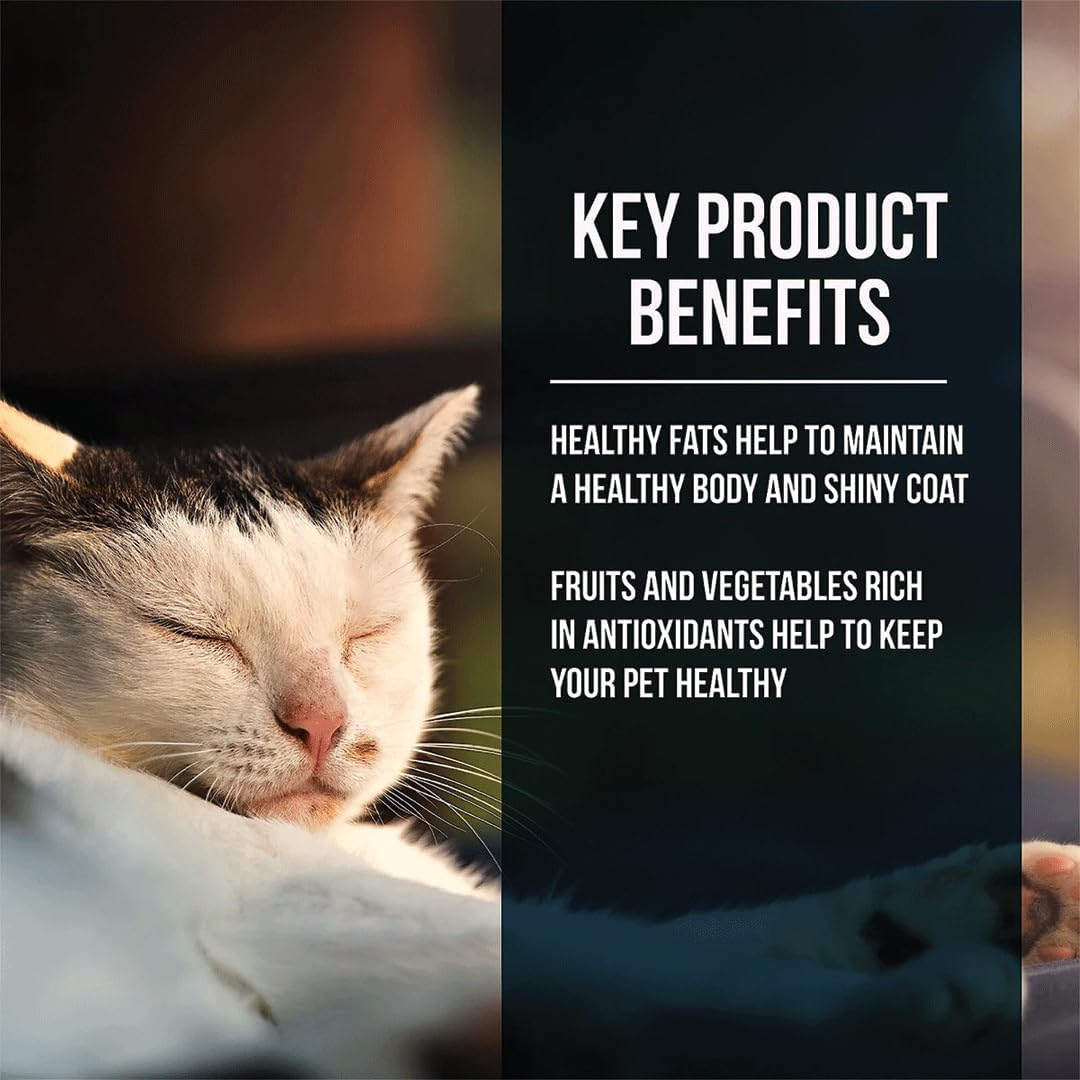 Fussie Cat Market Fresh Salmon Recipe,Dry Cat Food
