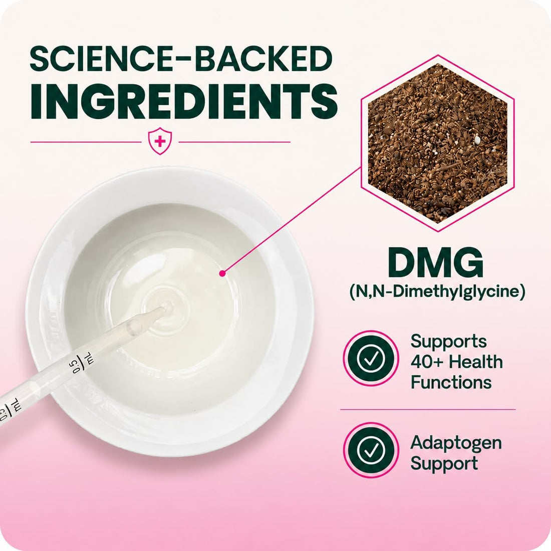 VetriScience DMG Immunity Health Easy-Dose Liquid for Dogs and Cats