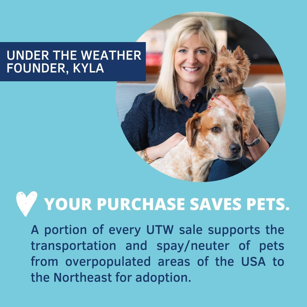 Under the Weather Pet | Ready Balance