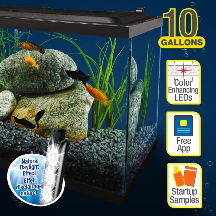 Tetra LED 10 Gallon Complete Fish Tank Kit