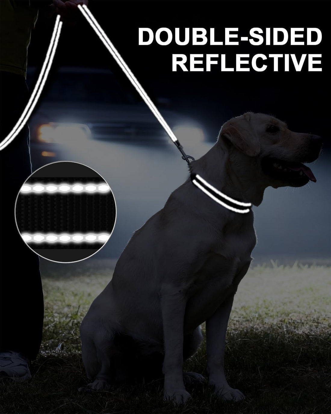 Taglory Reflective Dog Leash for Small Dogs, 3/4in x 4ft