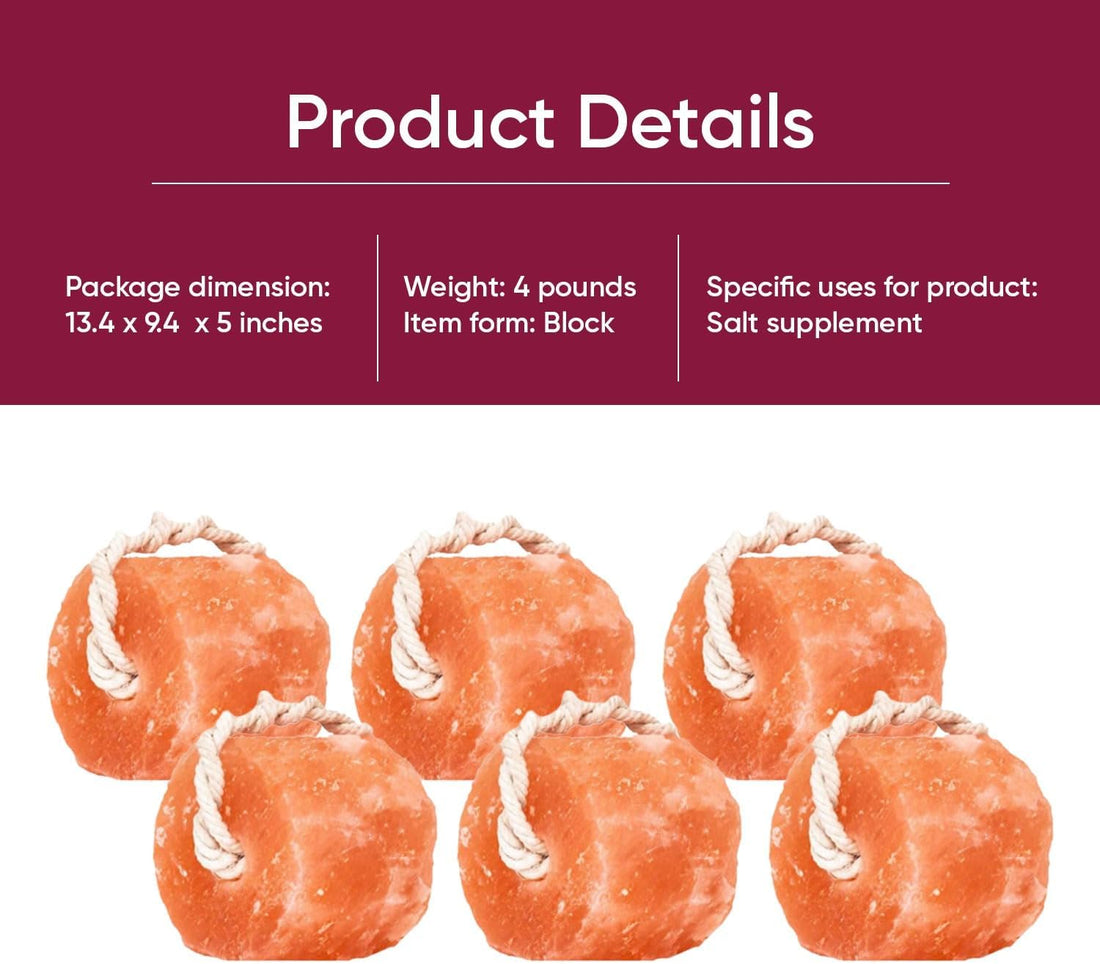 Glowyn Himalayan Salt Lick-Natural Minerals Block on Rope - 4.0 lbs.