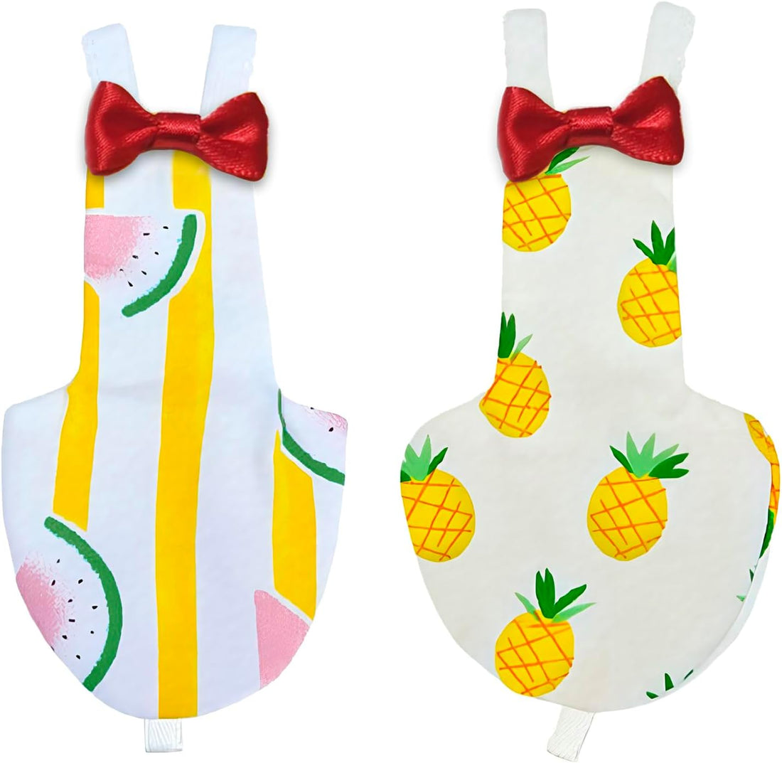 Bird Diapers 2 Pack, Small Parrot Clothes