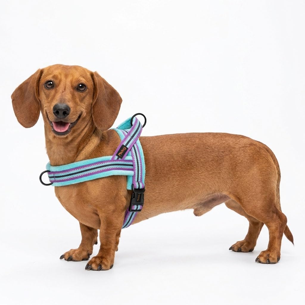 Didog No Pull Dog Harness for Small Dogs