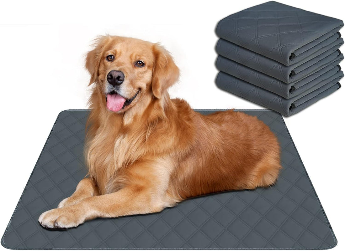 RIOUSSI Reusable Pee Pads for Dogs, Puppies. Washable, Absorbent