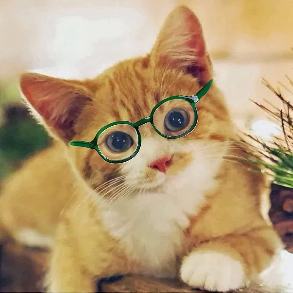 Black Pet Glasses for Small Dogs and Cats,Pet Dog Cute Glasses Clear