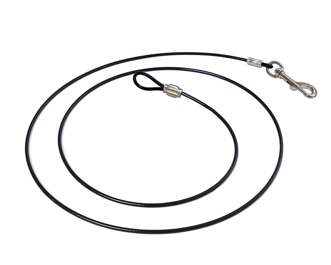 Training Tie Down - Short Tether for Dogs & Teething Puppies (4 feet)