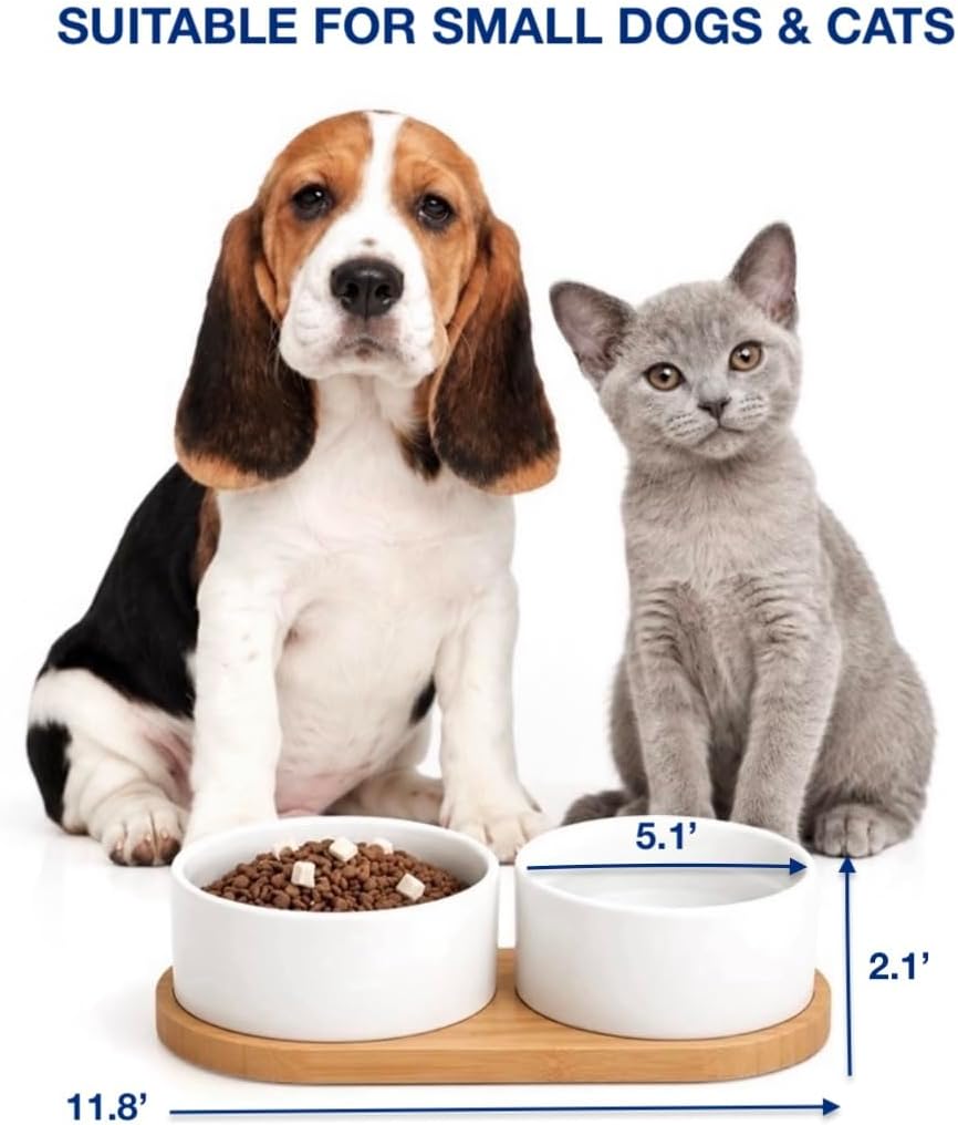 Ceramic Small Dog and Cat Bowls-Set of 2 Pet Dishes with Non-Slip