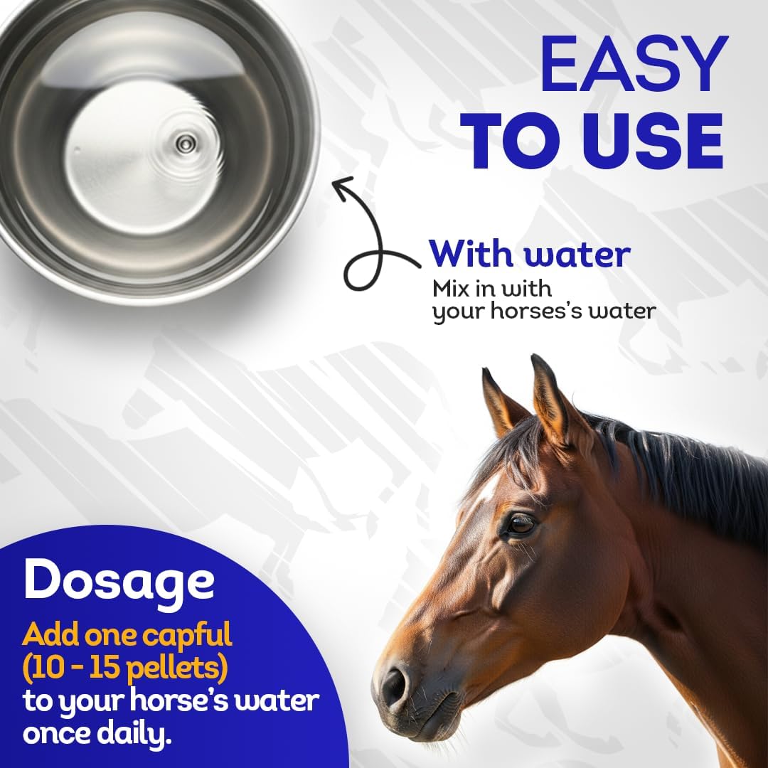 HA4E - Horse Respiratory Issues Support - Helps Prevent Heaves