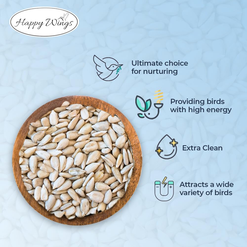 Happy Wings 5LB Sunflower Heart & Chips (Kernels) Bird Food, No Waste