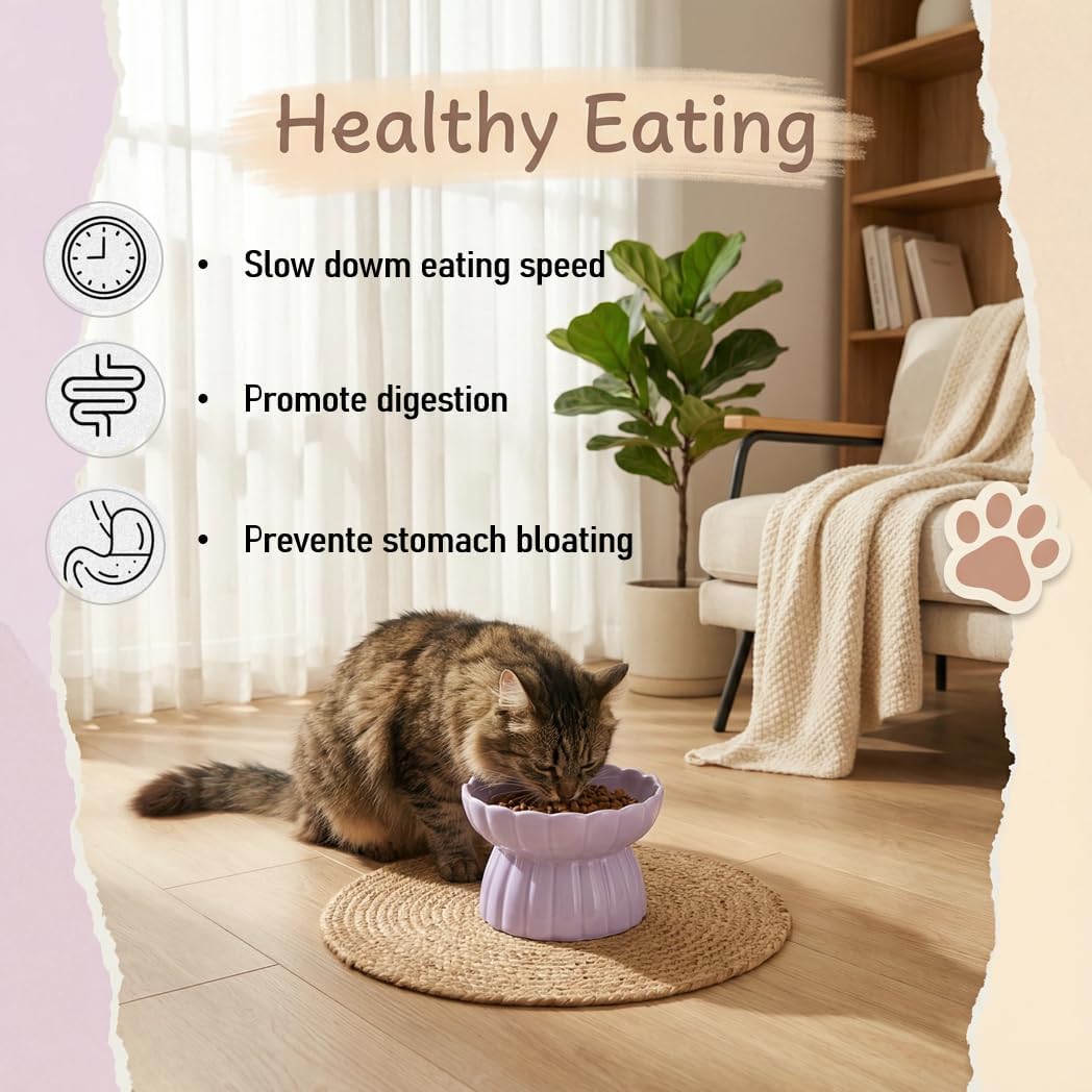 Ceramic Cat Slow Feeder, Raised Slow Feeder Cat Bowl