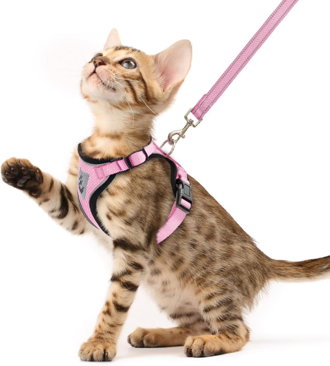 PUPTECK Halloween Cat Harness and Leash Set Escape Proof Reflective