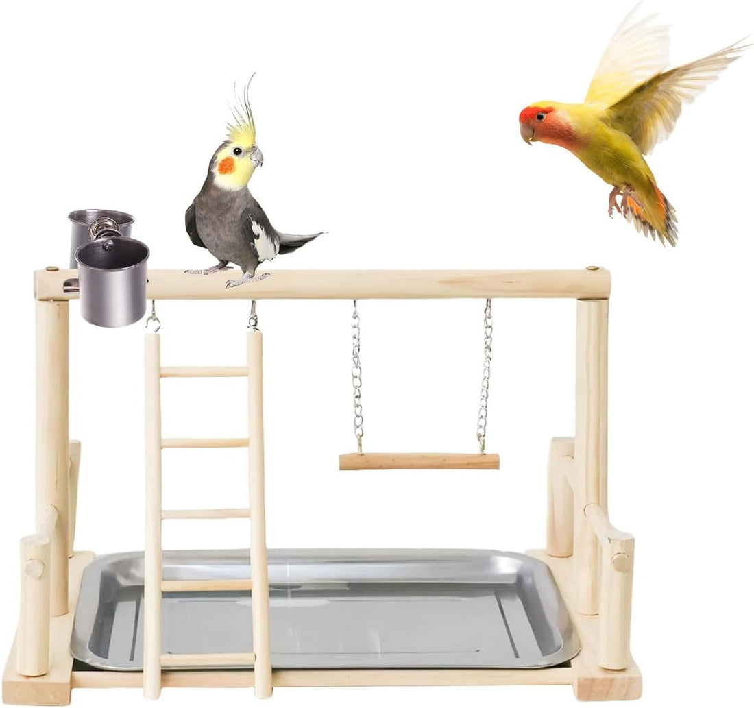 Bird Playground, Natural Wood Bird Perch Stand with Removable Tray
