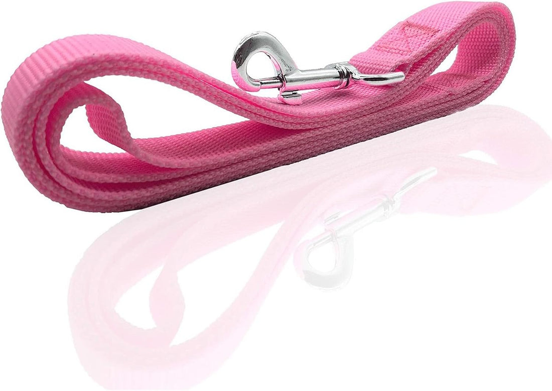 Nylon Dog Leash 8 Feet Long, Walking Training Dog Leashes for Medium
