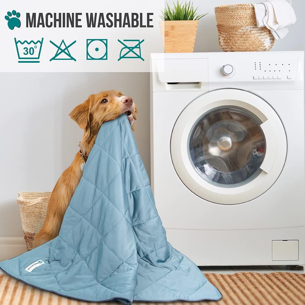 PetAmi Lightweight Cooling Blanket for Dogs & Cats