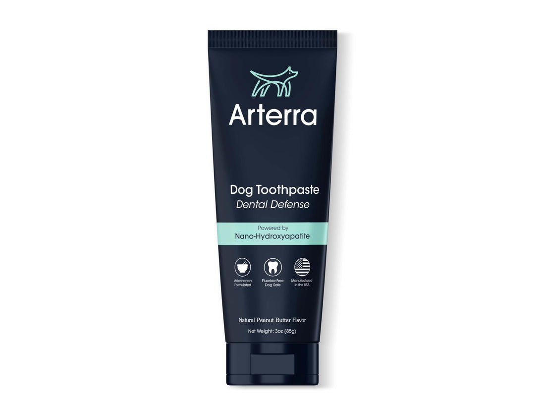 Remineralizing Dog Toothpaste – Vet-Grade, with Nano-Hydroxyapatite