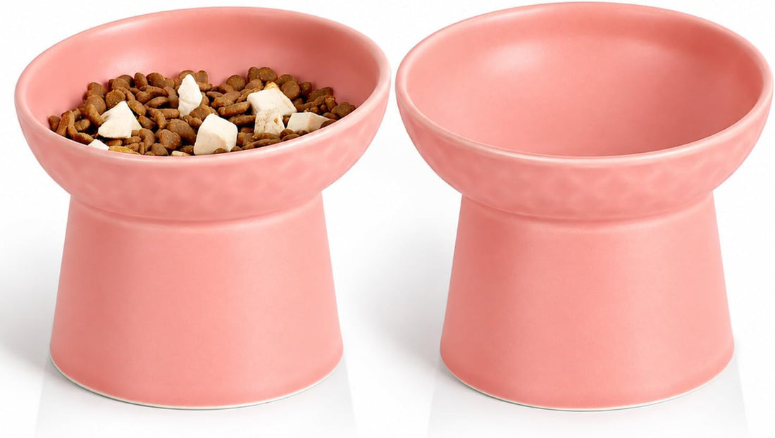 YauYik Raised Cat Bowl, Elevated Cat Food Bowls with Tilted Angle