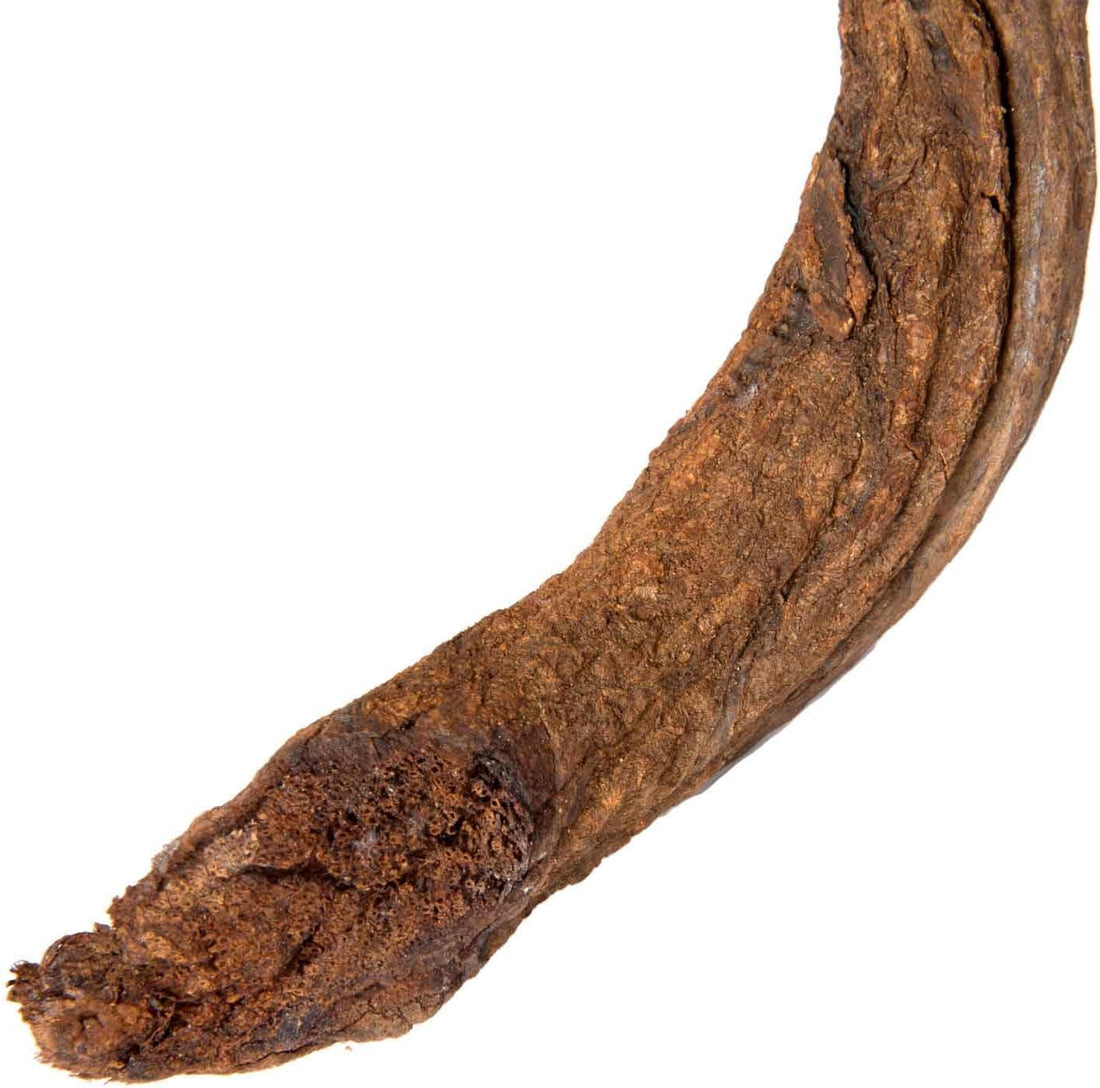Galapagos (05310) Jungle Wood, Natural Brown, 2 Ft.