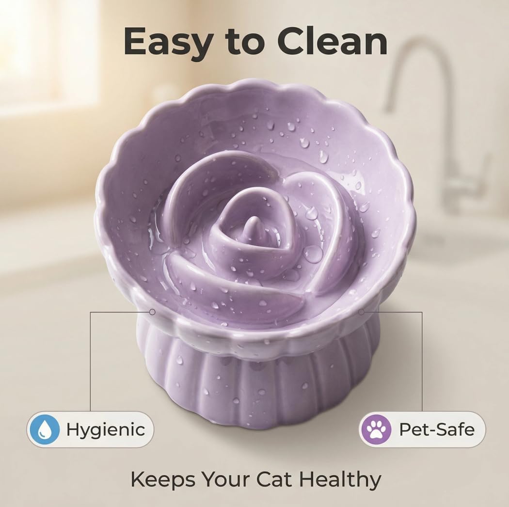 Ceramic Cat Slow Feeder, Raised Slow Feeder Cat Bowl
