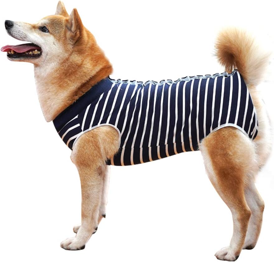 Dog Recovery Suit Abdominal Wound Puppy Surgical Clothes