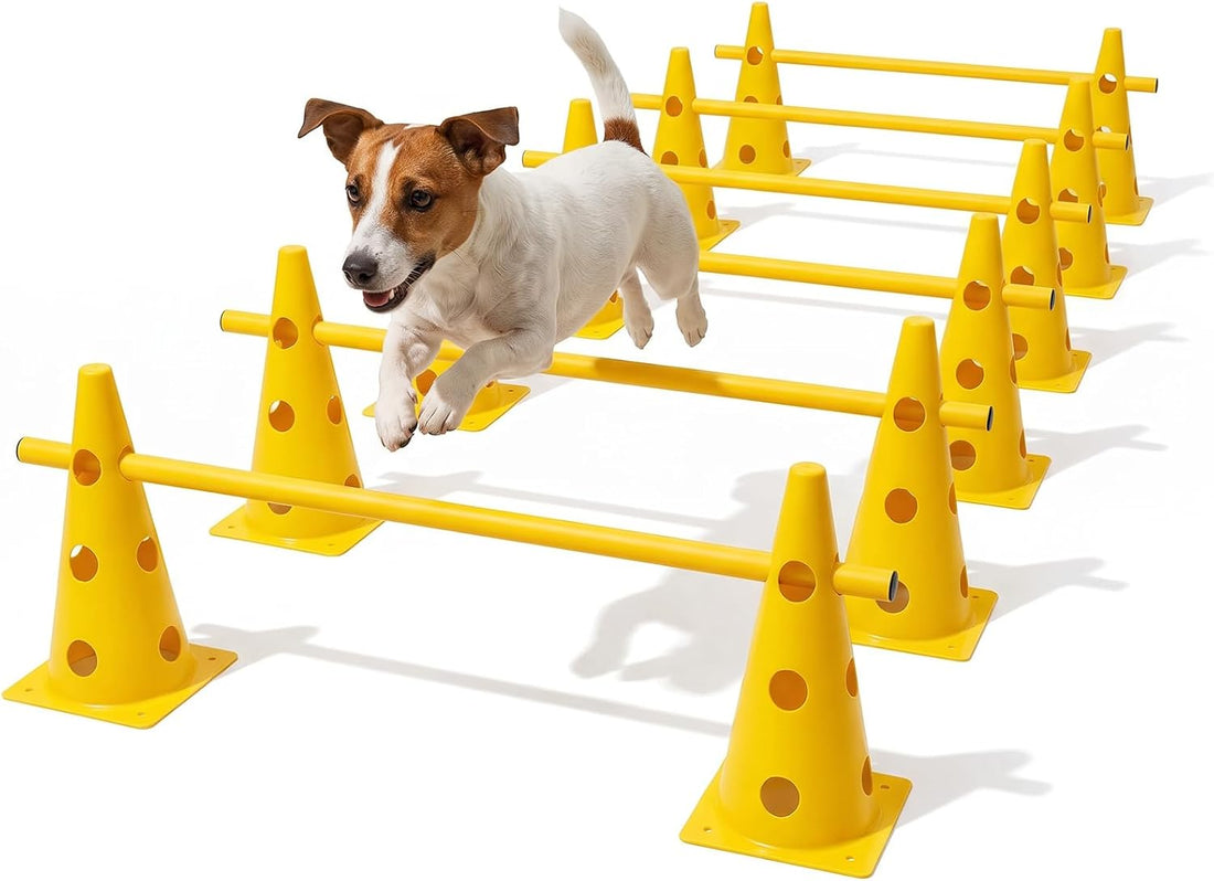 Dog Agility Equipment 6-Piece Set