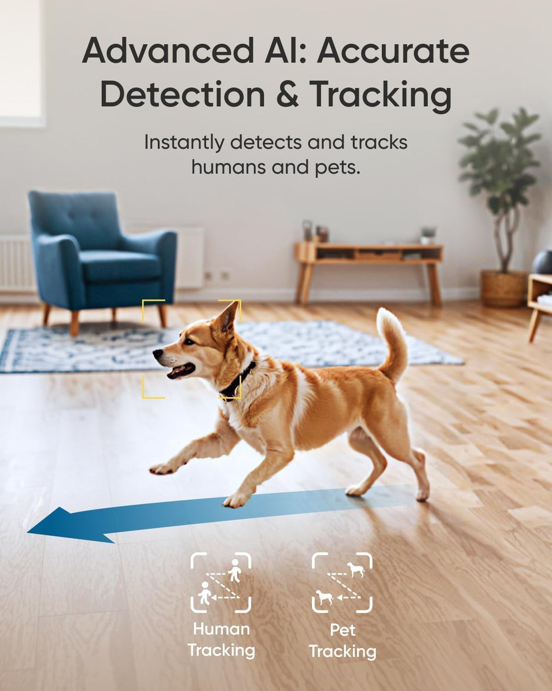 eufy Security Indoor Cam E30 3 Cam-Kit & HomeBase S380 (Bundle)