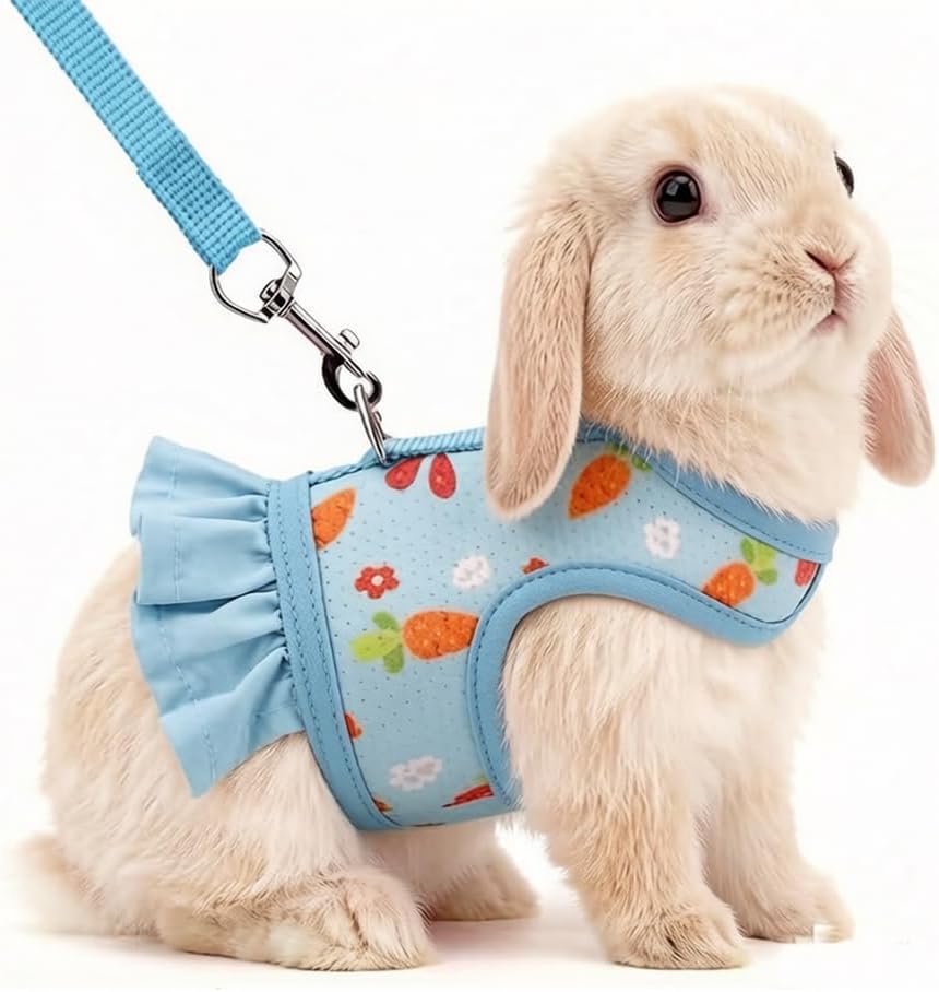 Guinea Pig Harness & Leash Set