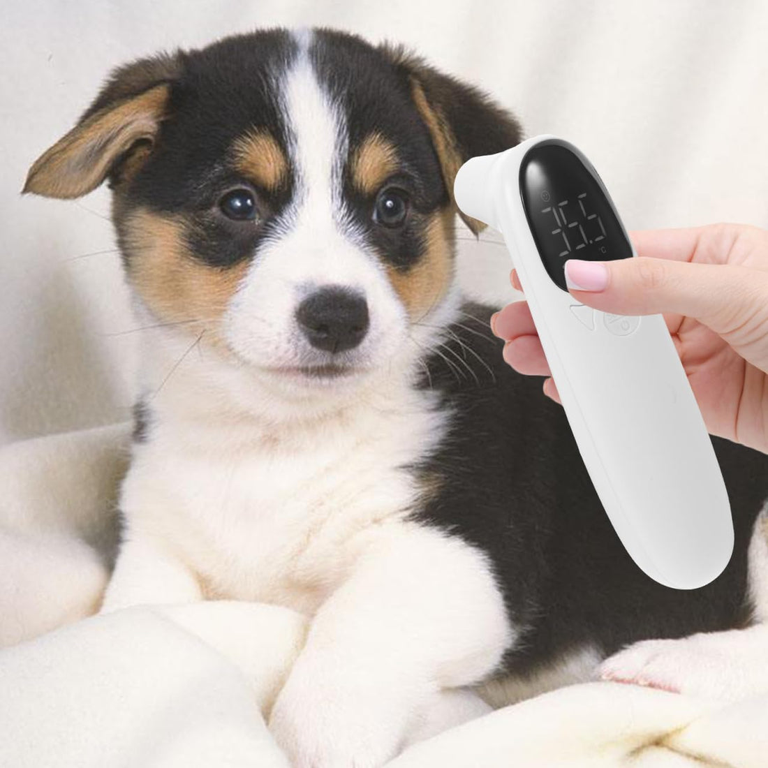 Abaodam Cat and Dog Ear Thermometer
