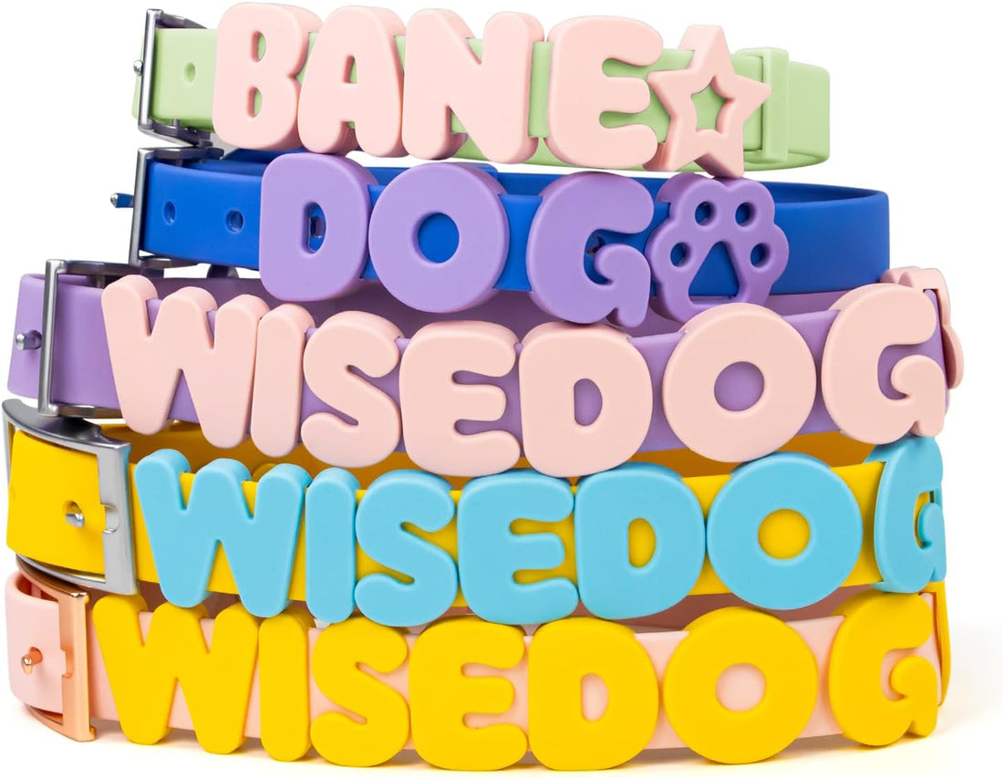 Wisedog Dog Charms for Collar