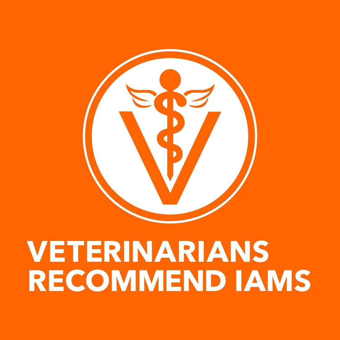 IAMS Perfect Portions Healthy Adult Pate Wet Cat Food