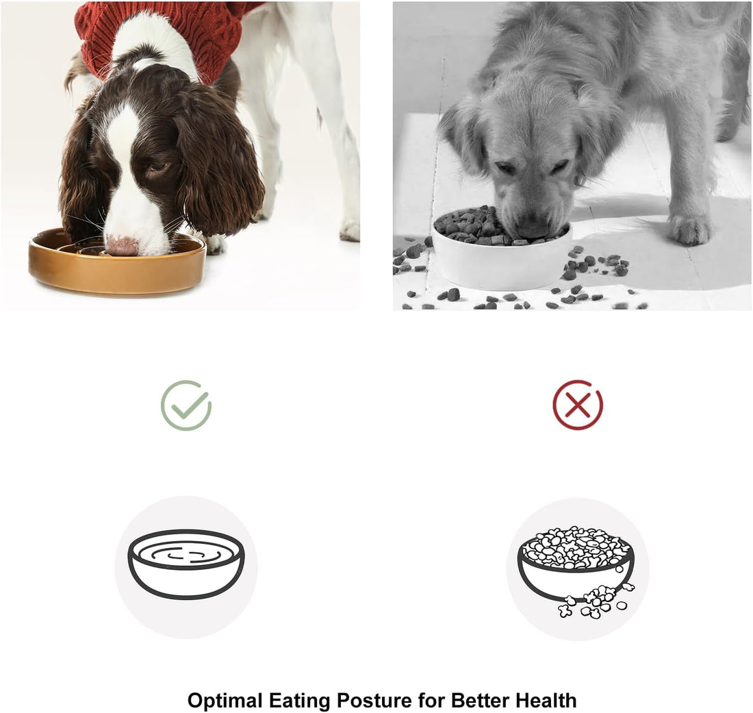 Ceramic Slow Feeder Dog Bowl, Apricot