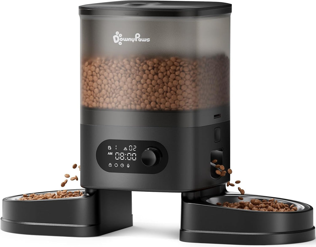 DownyPaws Automatic Cat Feeder 2 Cats