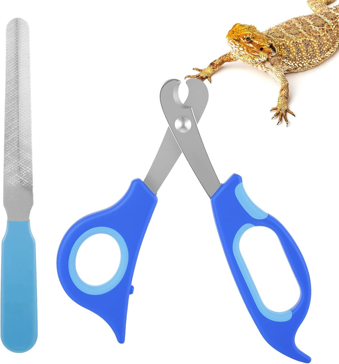 Bearded Dragon Nail Clippers,Stainless Steel Bearded Dragon